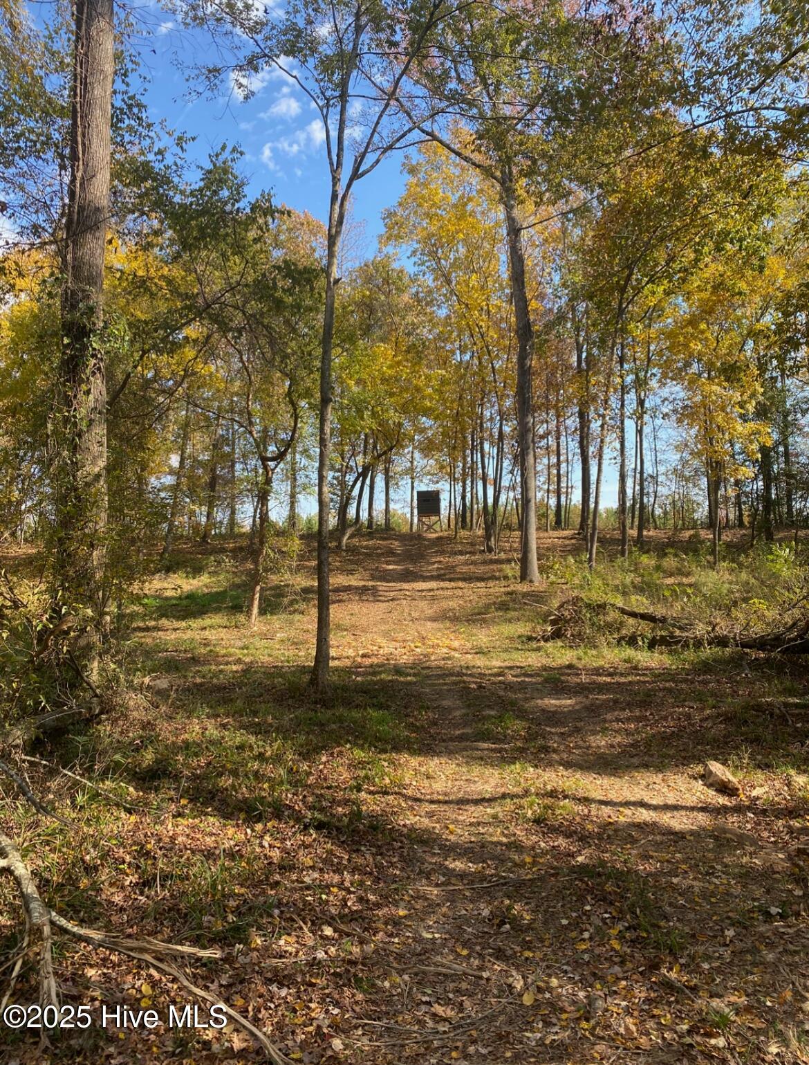 0 River Road Property Photo 16