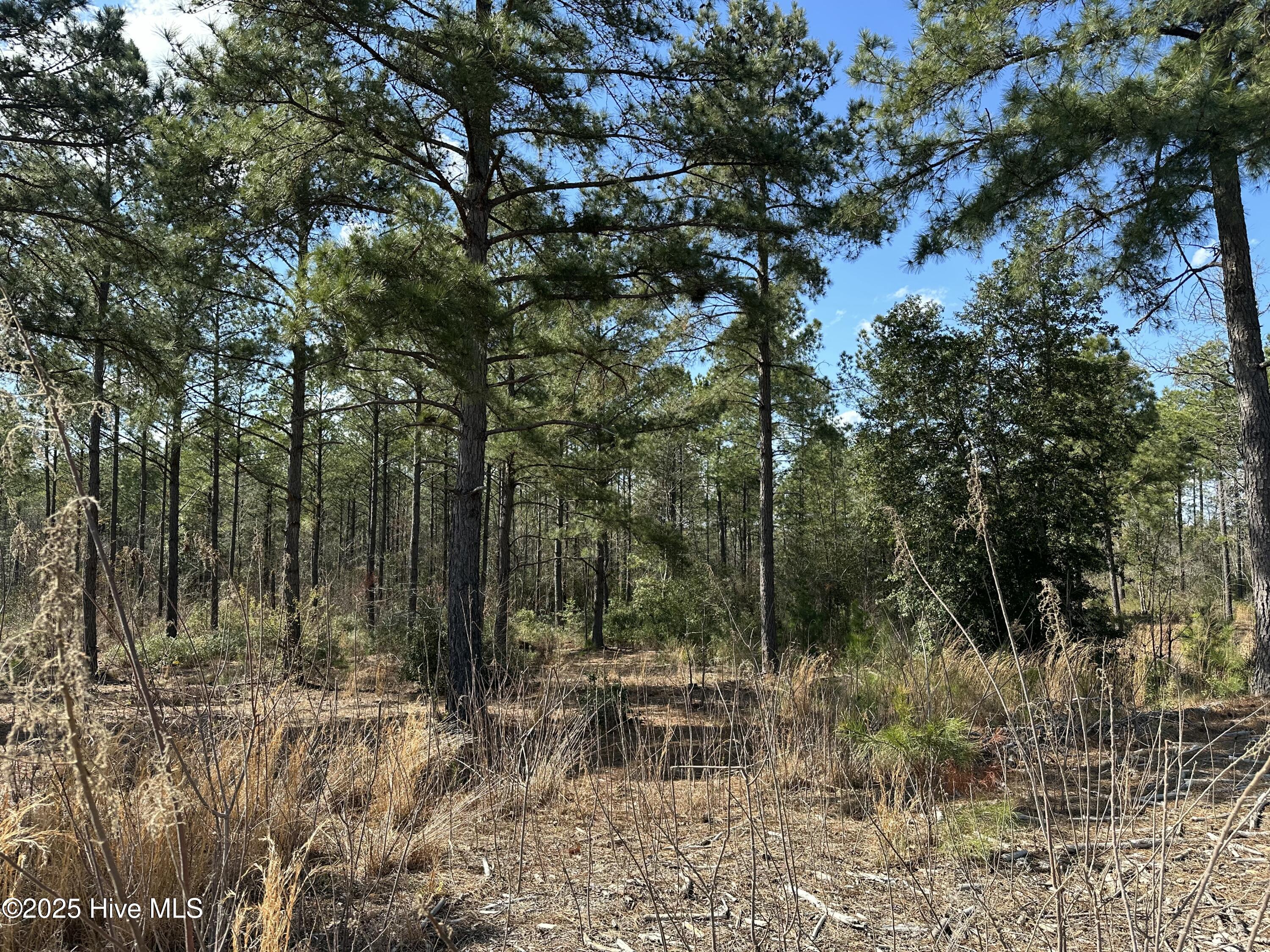 565 Susie Circle Property Photo 2