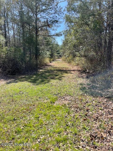 206 Cotton Patch Lane Property Photo 2