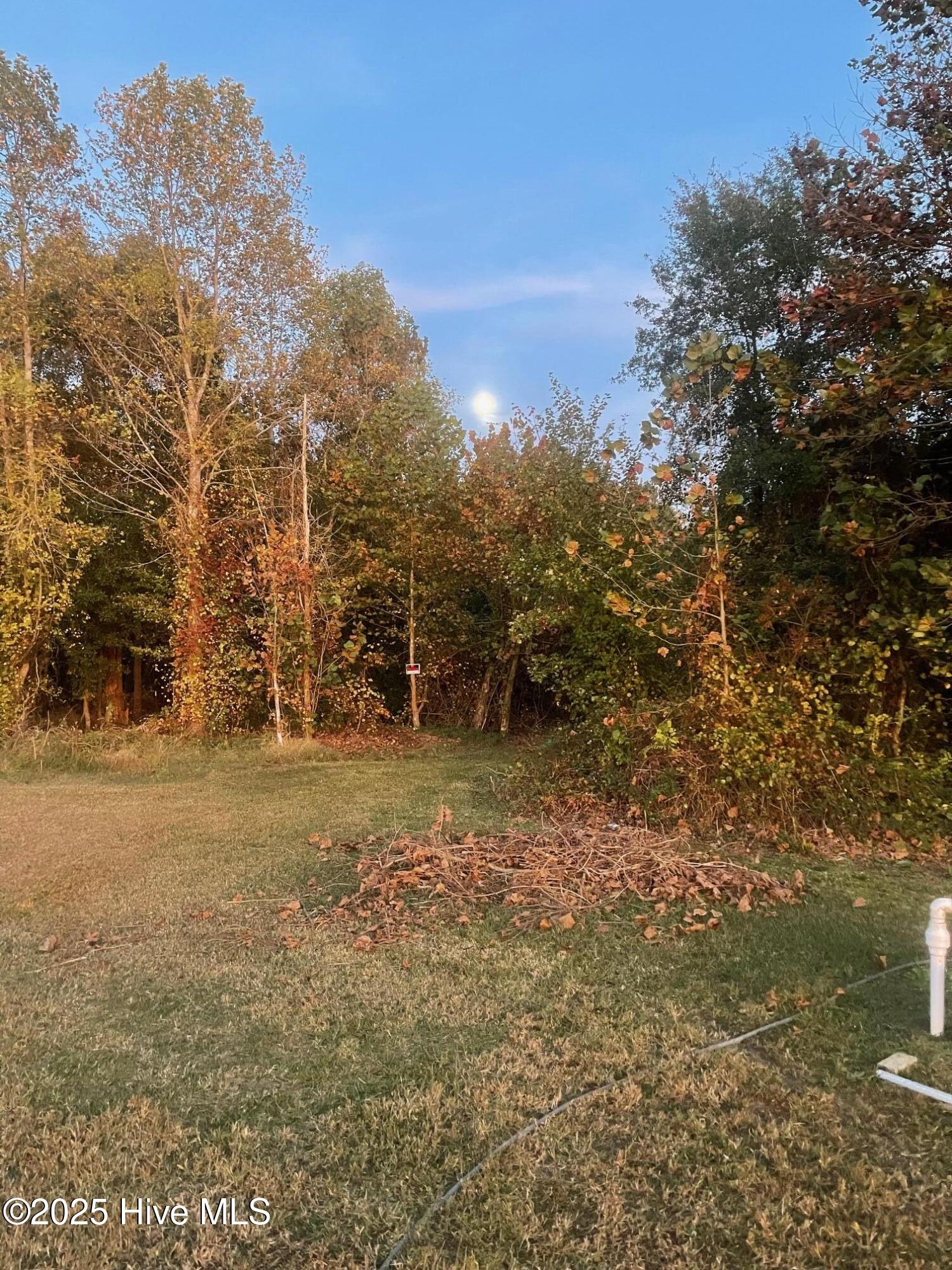 206 Cotton Patch Lane Property Photo 3