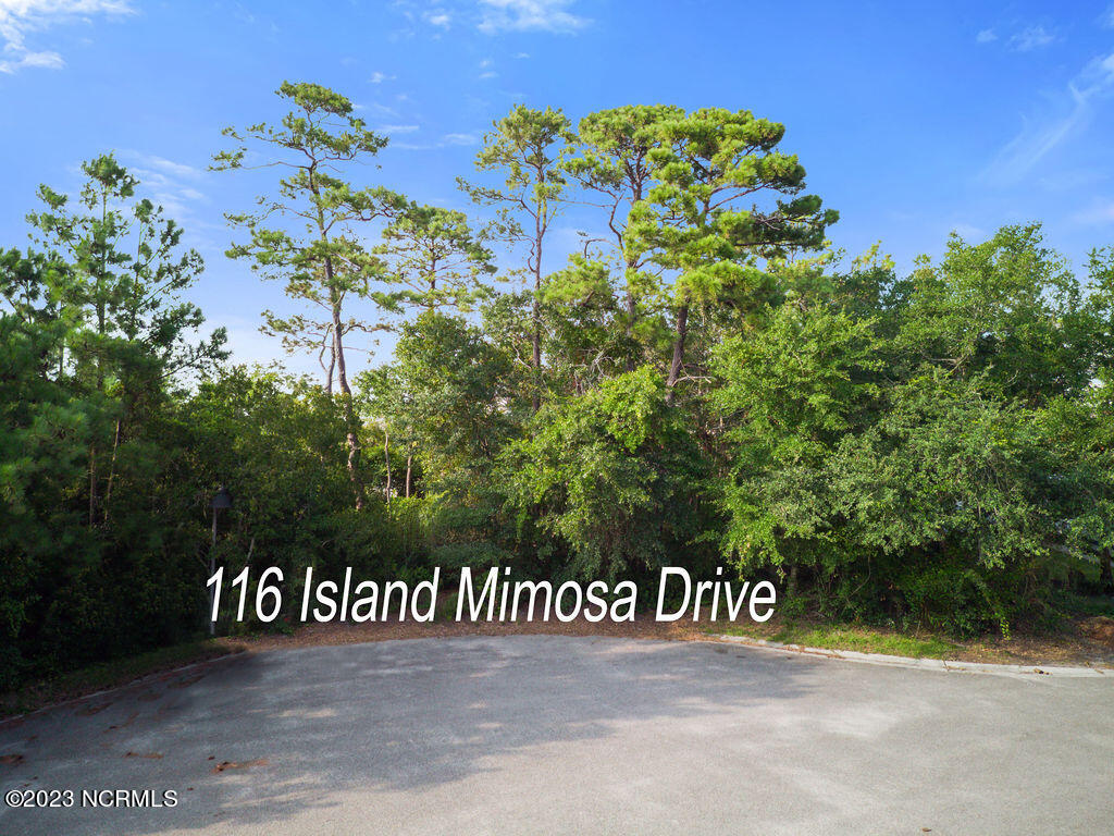 116 Island Mimosa Drive Property Photo 3