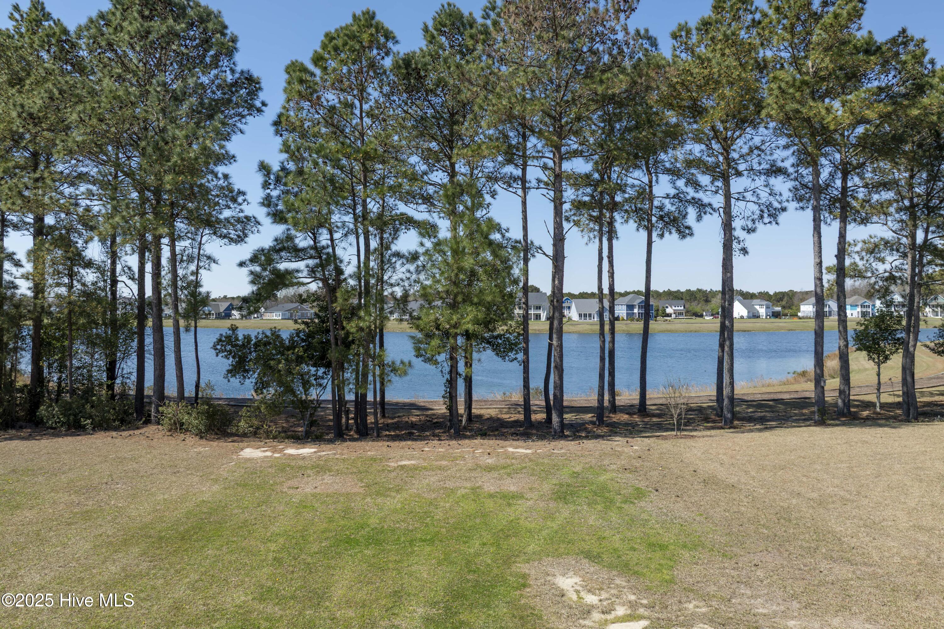 176 Spicer Lake Drive Property Photo 6