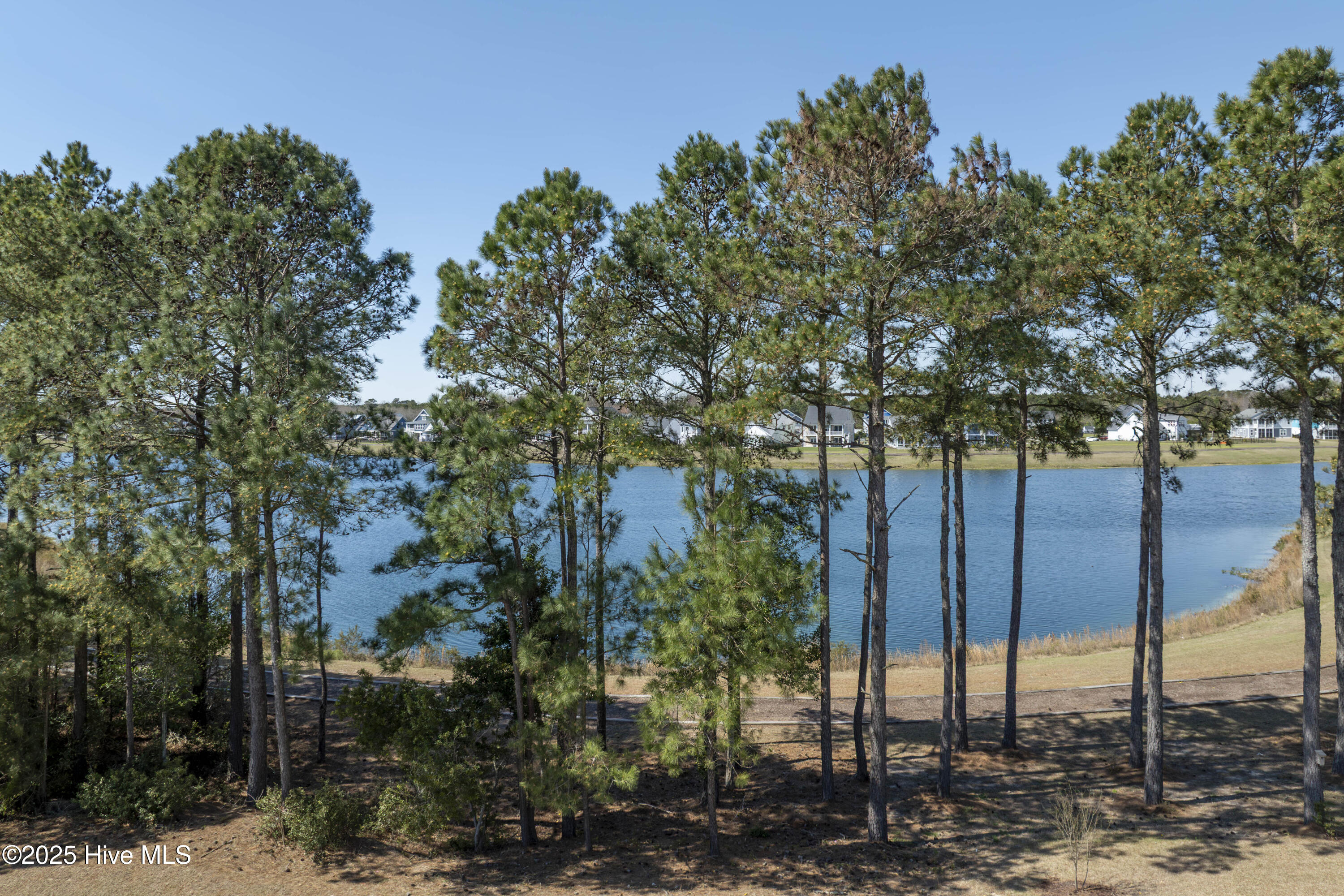 176 Spicer Lake Drive Property Photo 10