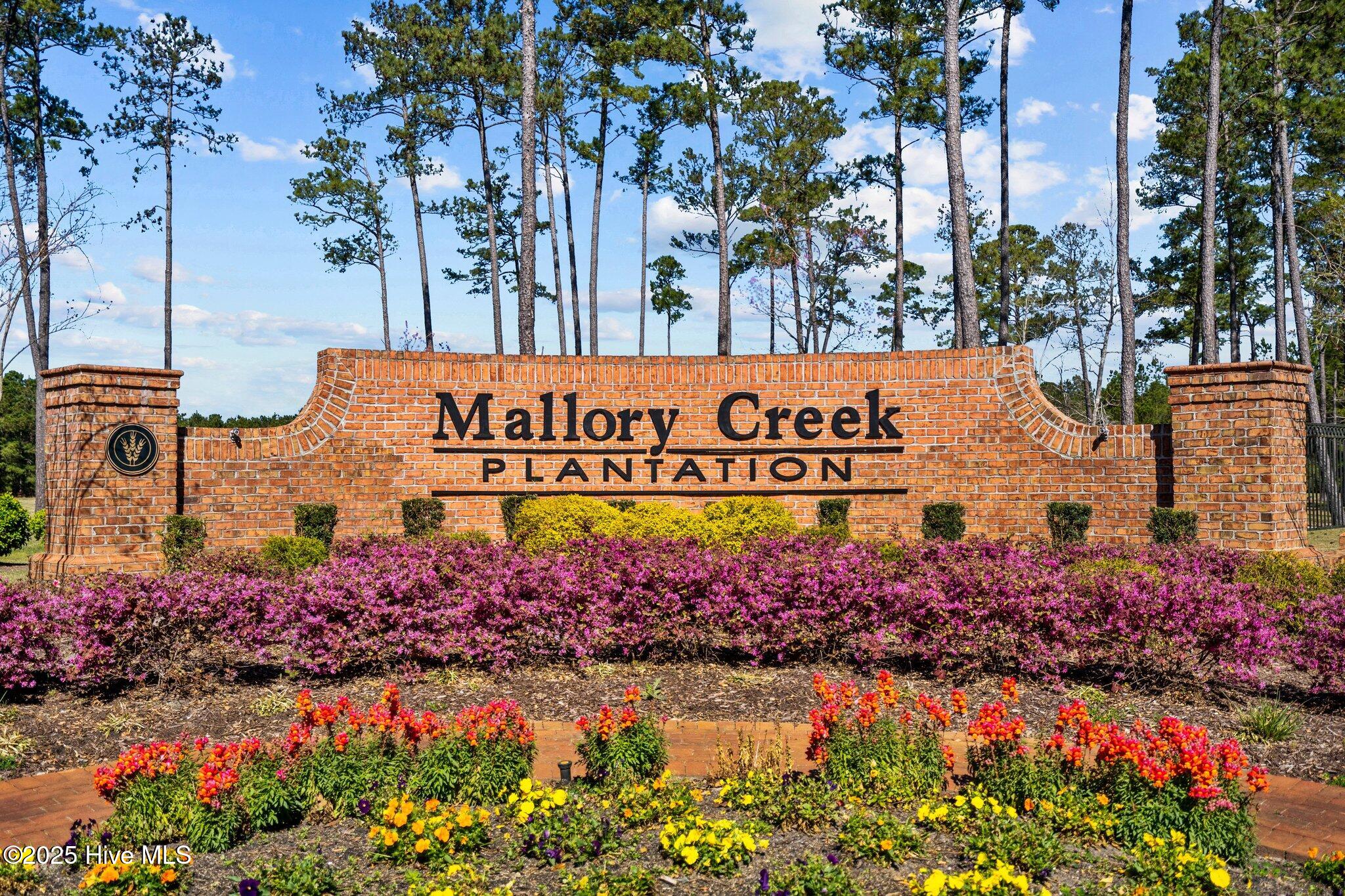 6453 Pinnacle Point Property Photo 56