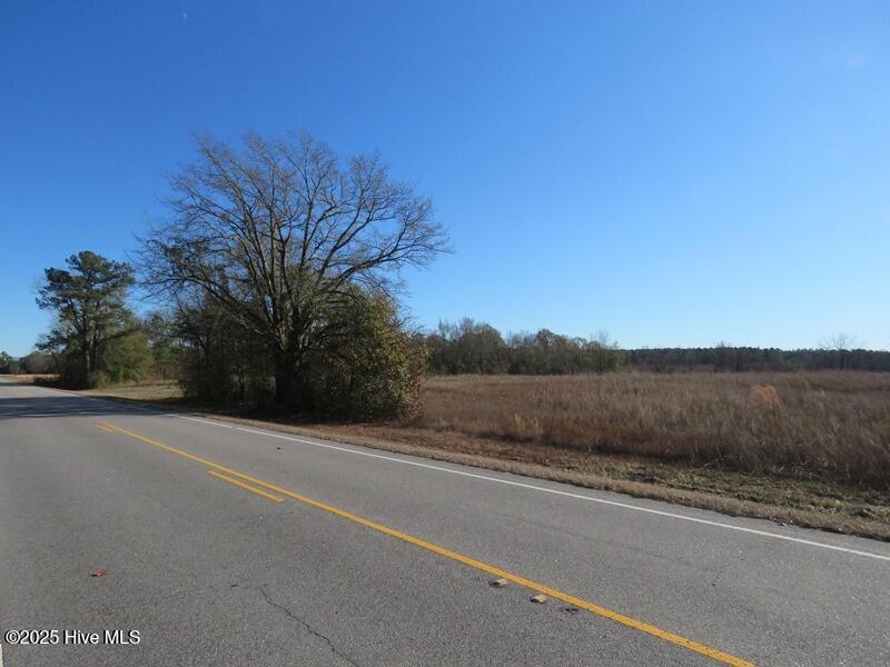 Tbd Nc 53 Highway Property Photo 3