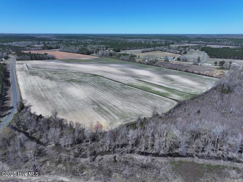 Tbd Nc 53 Highway Property Photo 13