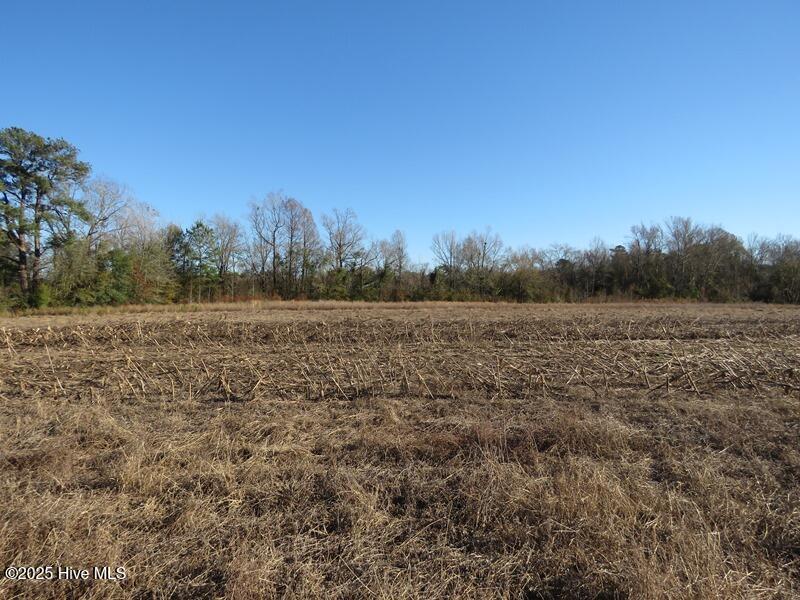 Tbd Nc 53 Highway Property Photo 22