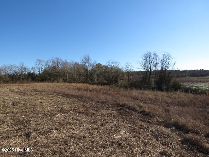 Tbd Nc 53 Highway Property Photo 23