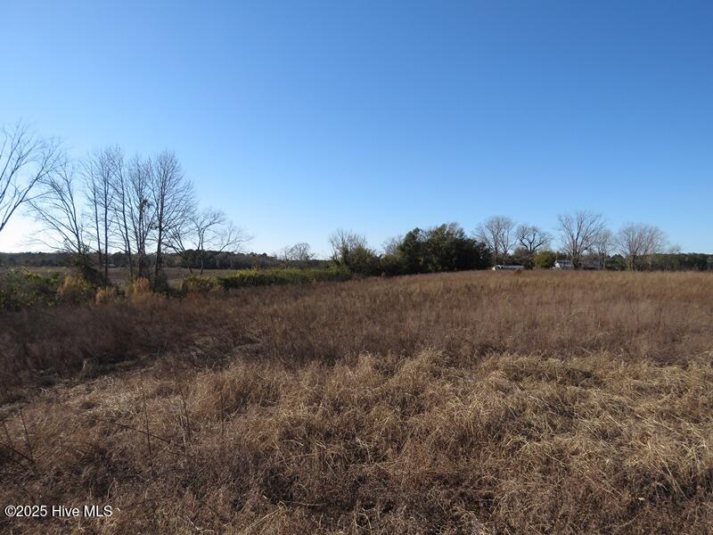 Tbd Nc 53 Highway Property Photo 24