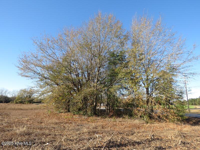 Tbd Nc 53 Highway Property Photo 25
