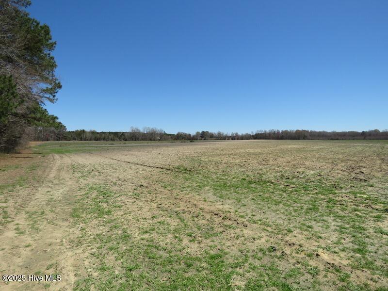 Tbd Nc 53 Highway Property Photo 26