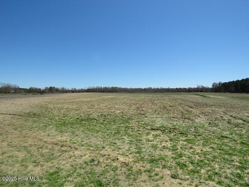 Tbd Nc 53 Highway Property Photo 27