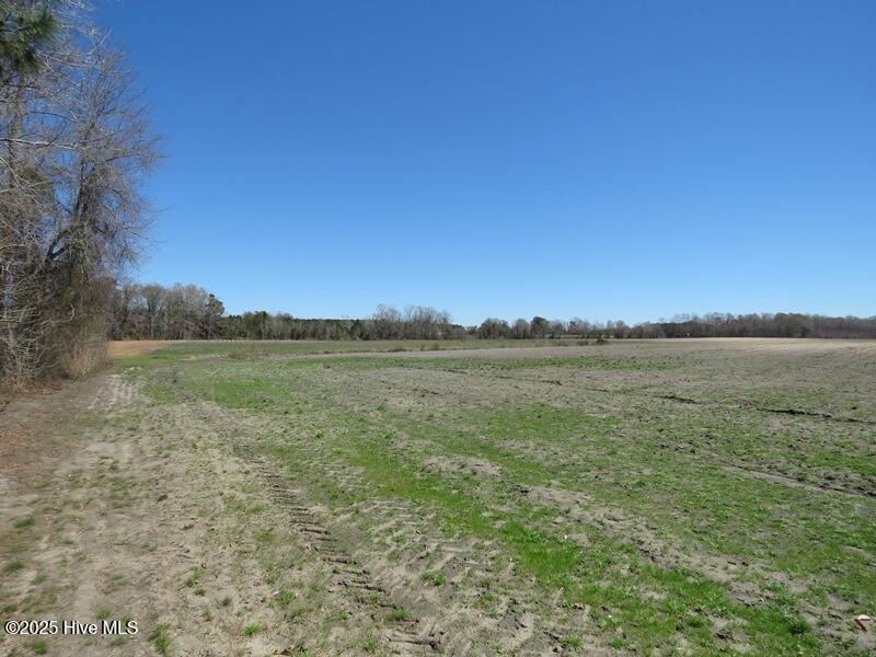 Tbd Nc 53 Highway Property Photo 28