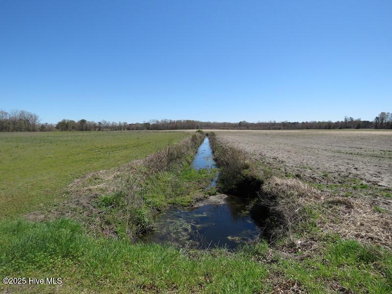 Tbd Nc 53 Highway Property Photo 29