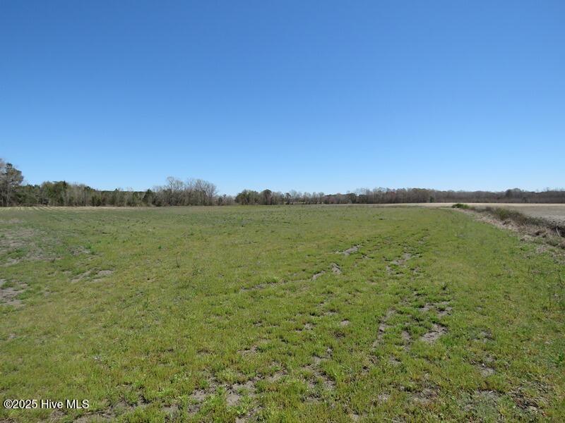 Tbd Nc 53 Highway Property Photo 30