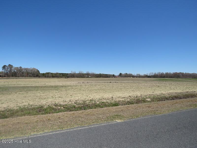 Tbd Nc 53 Highway Property Photo 31