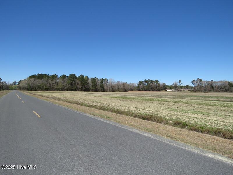 Tbd Nc 53 Highway Property Photo 33