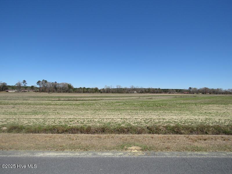 Tbd Nc 53 Highway Property Photo 34