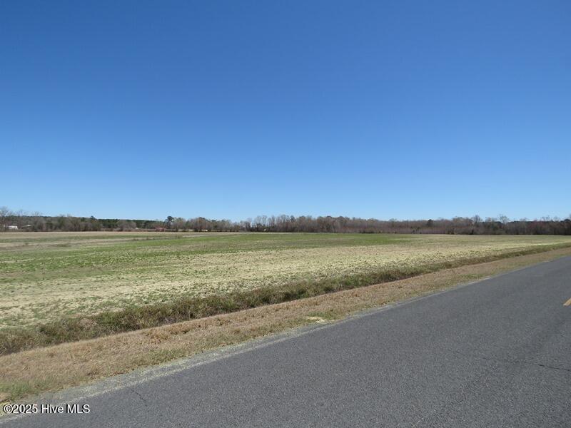 Tbd Nc 53 Highway Property Photo 35