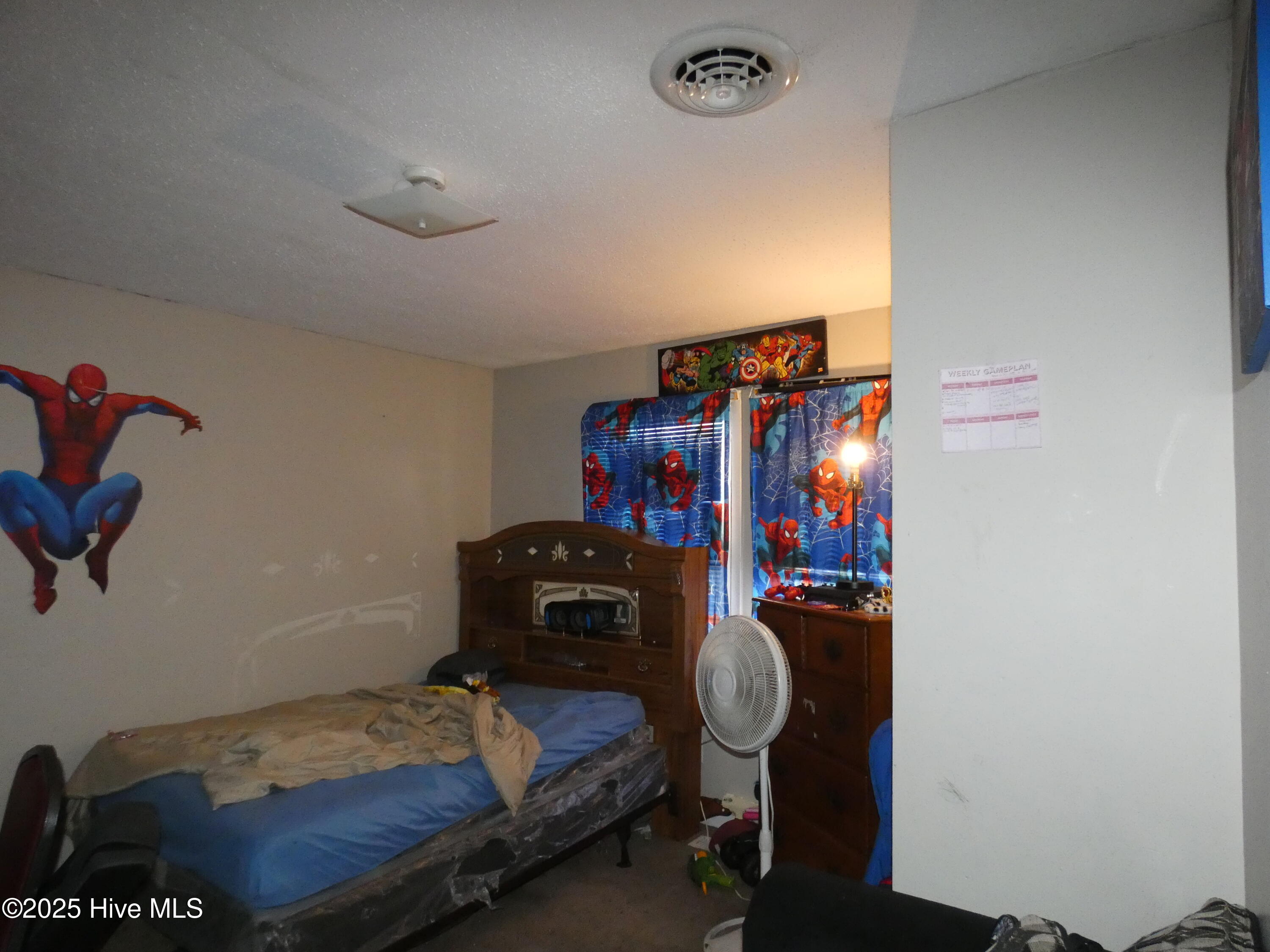 113 Mexico Road Property Photo 19
