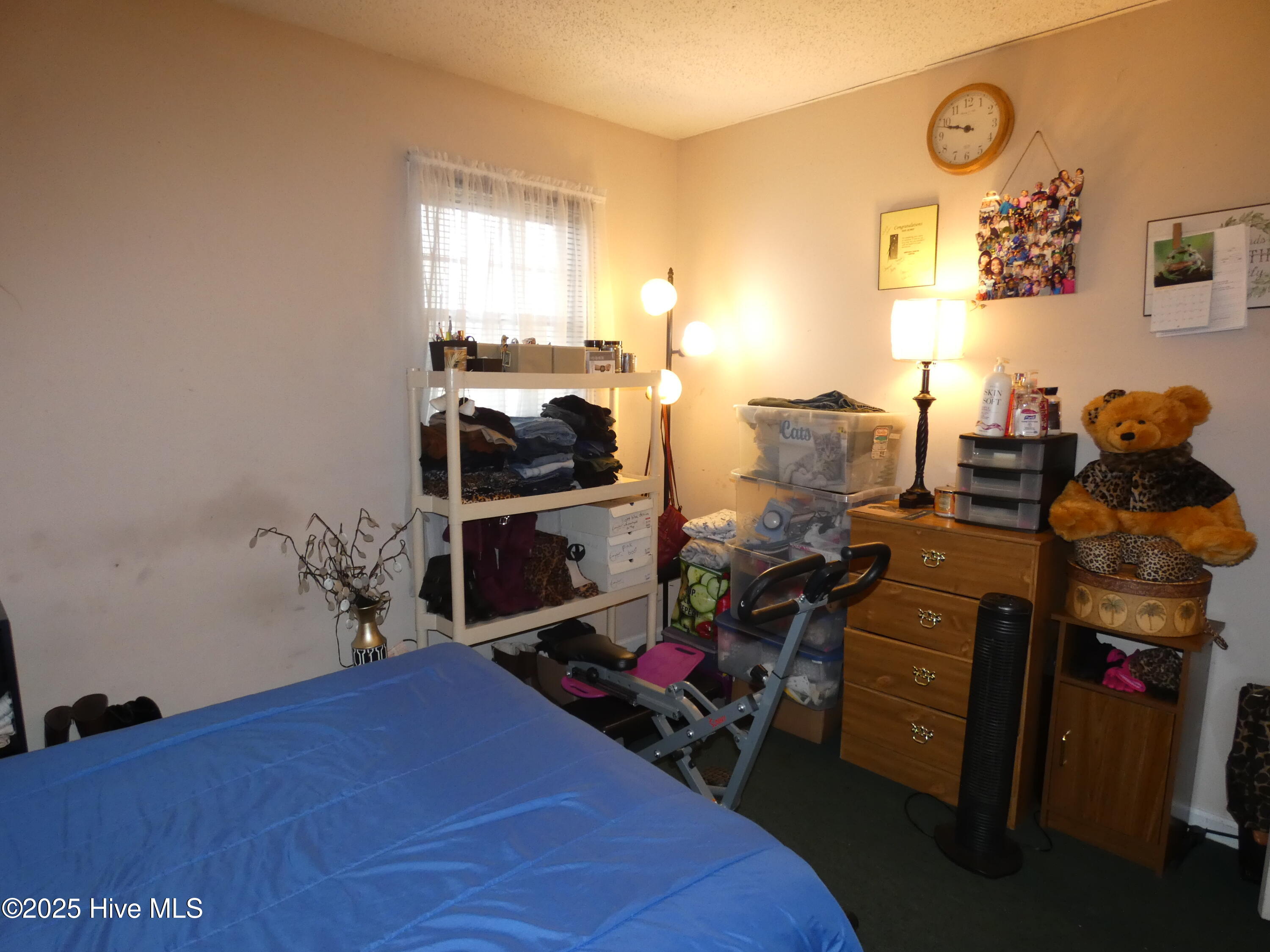 113 Mexico Road Property Photo 22