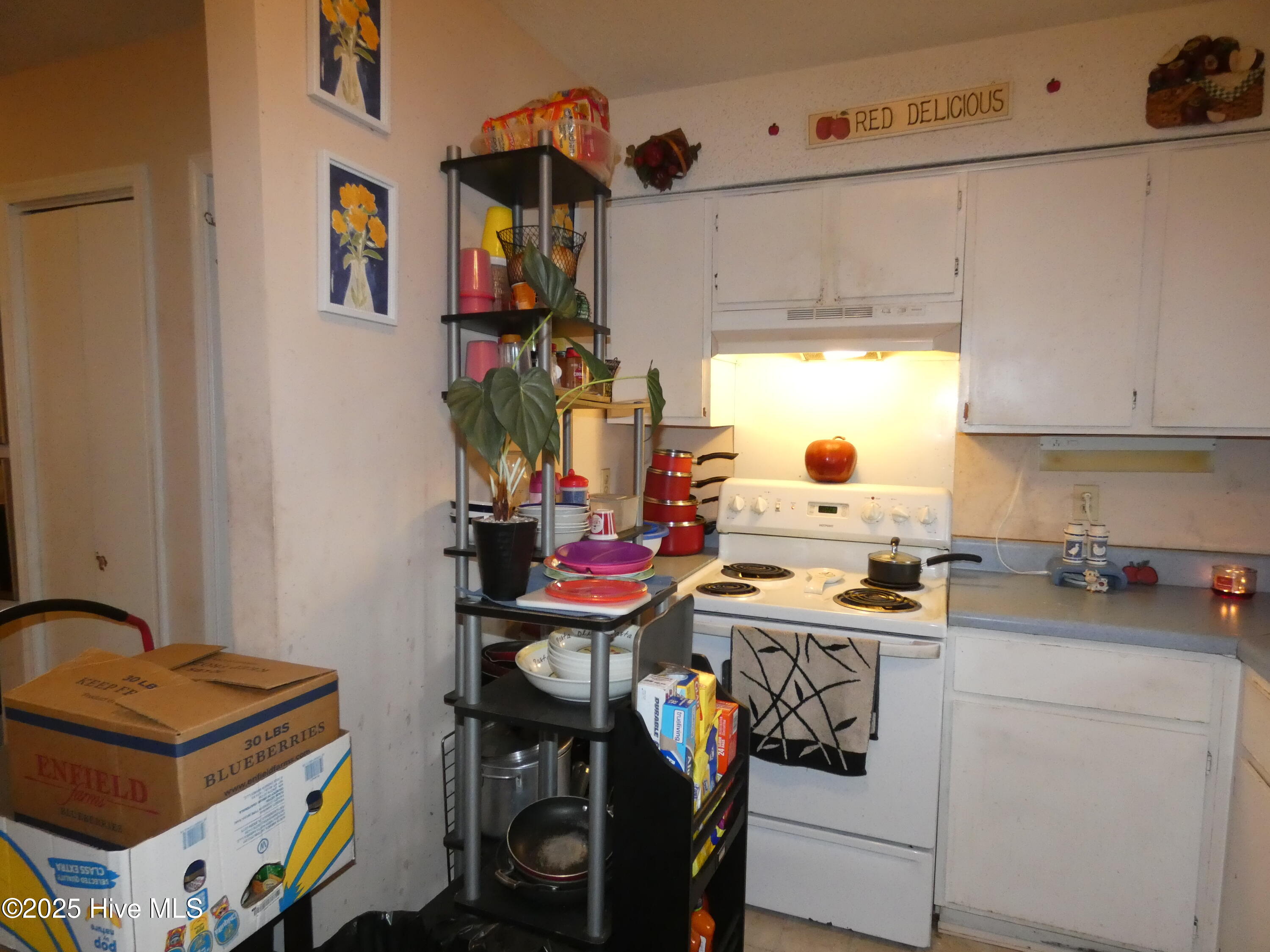 113 Mexico Road Property Photo 30