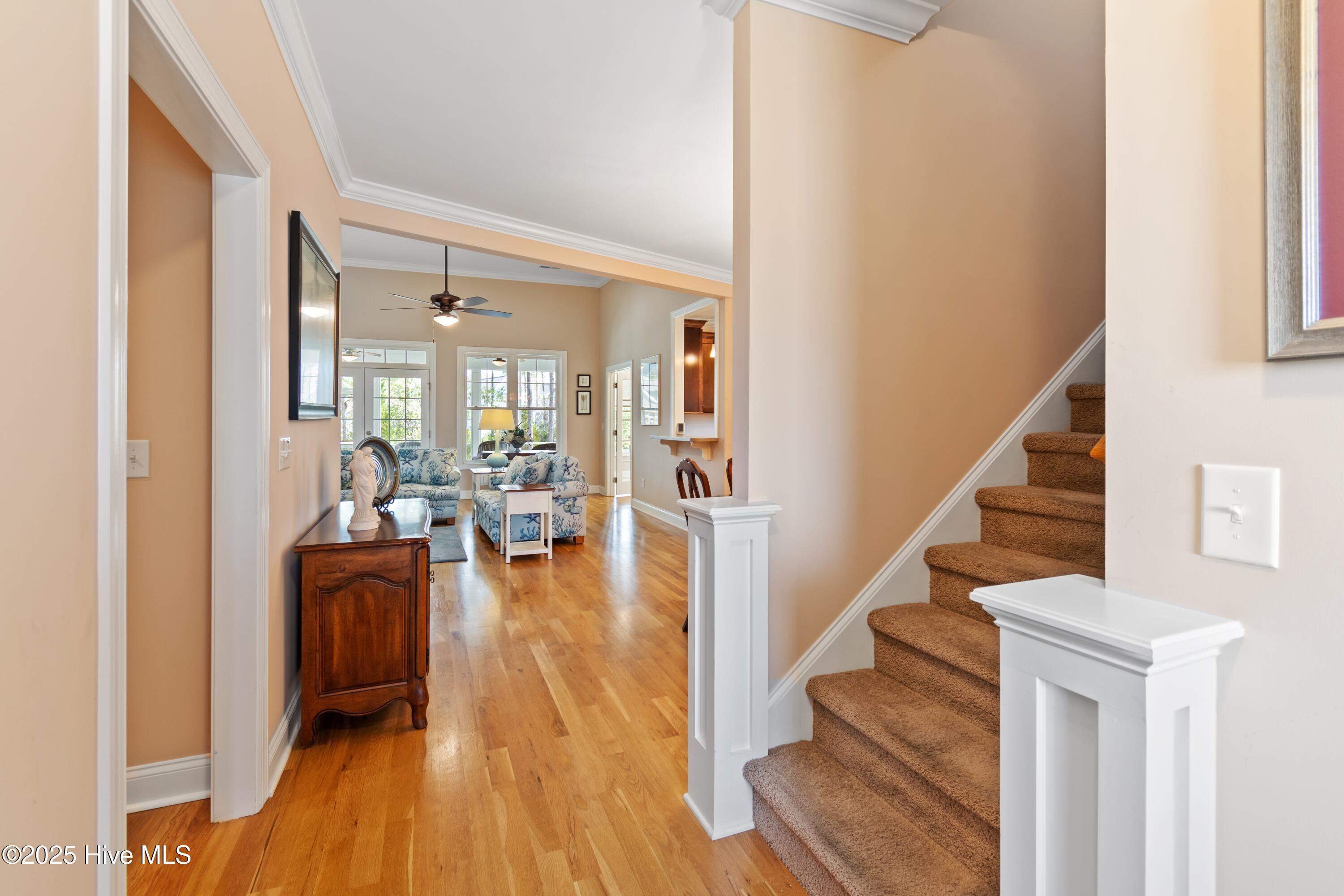 2824 Pine Forest Drive Property Photo 4
