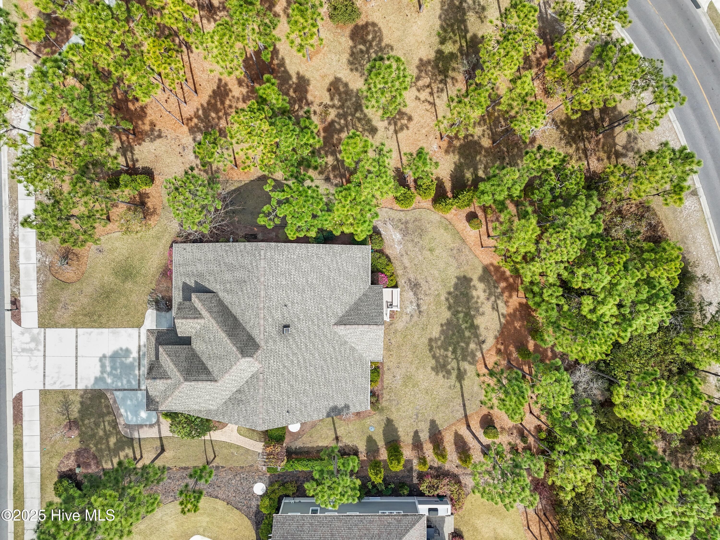 2824 Pine Forest Drive Property Photo 41