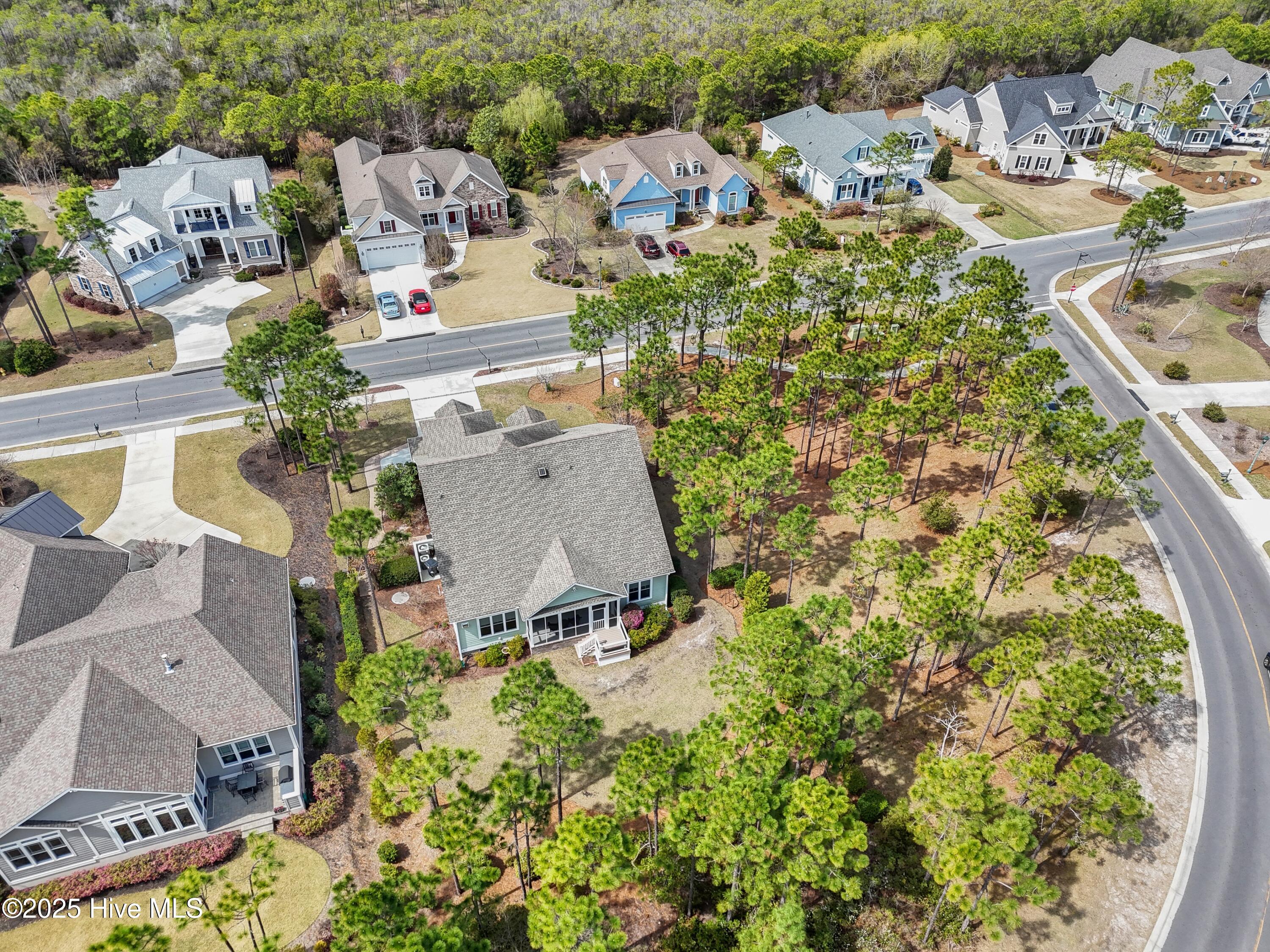 2824 Pine Forest Drive Property Photo 43