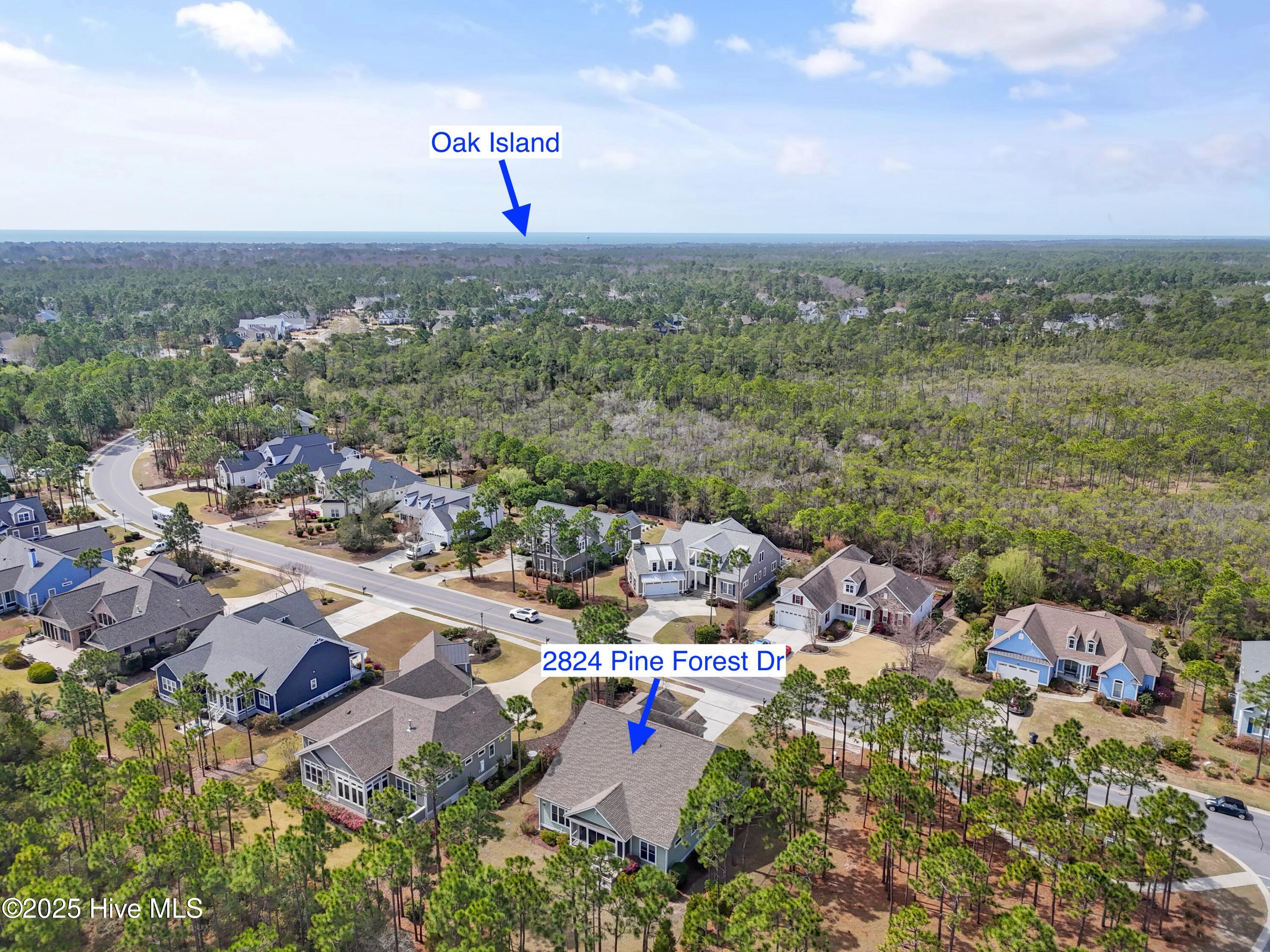2824 Pine Forest Drive Property Photo 44