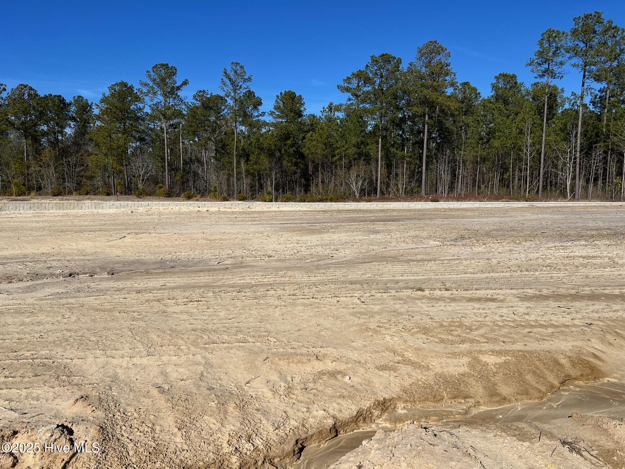 2923 W Timber Crest Lane Property Photo 1
