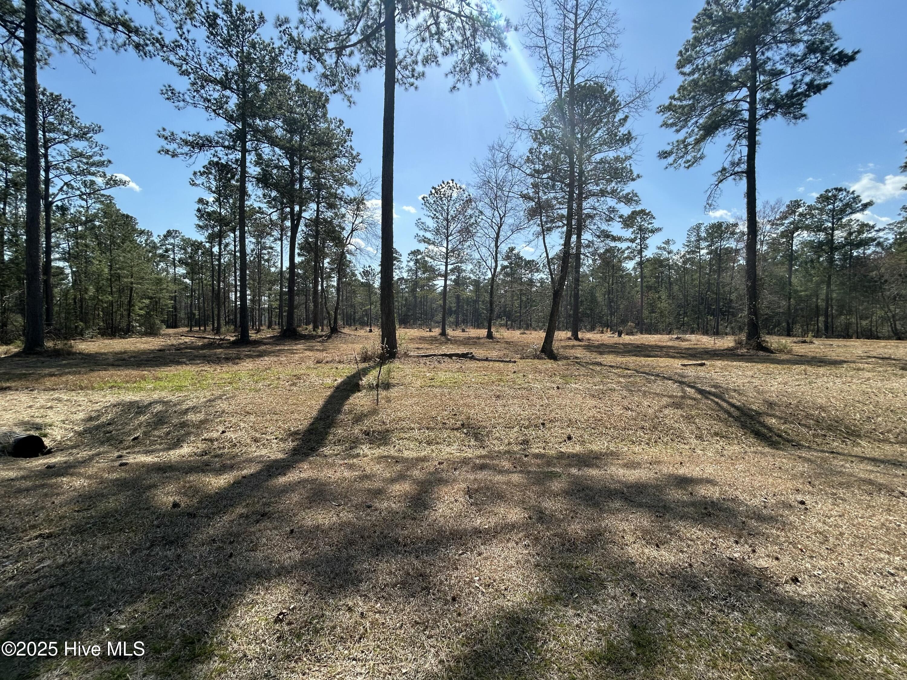 1261 Bailey Pointe Dr Drive Property Photo