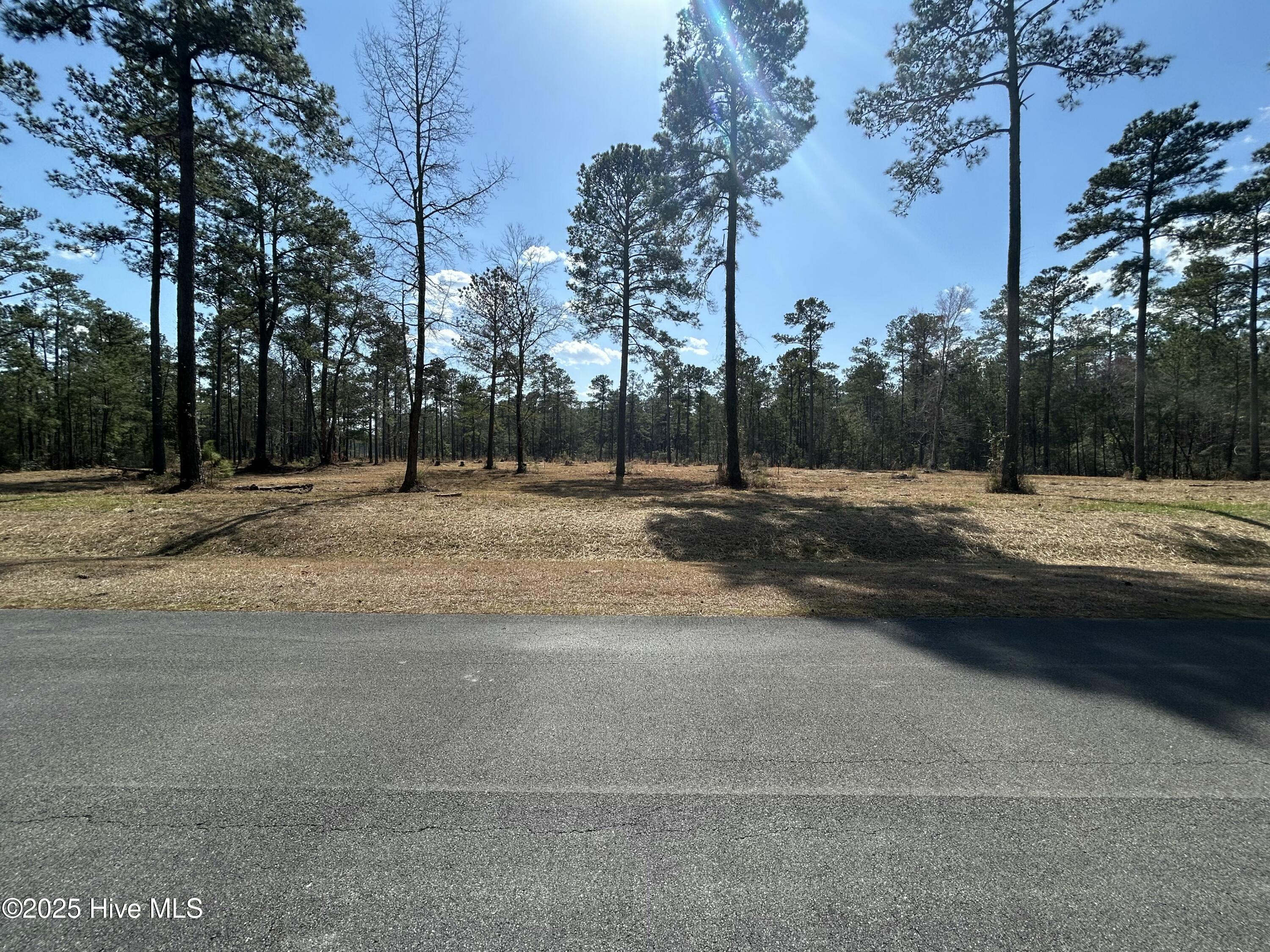 1261 Bailey Pointe Dr Drive Property Photo 2