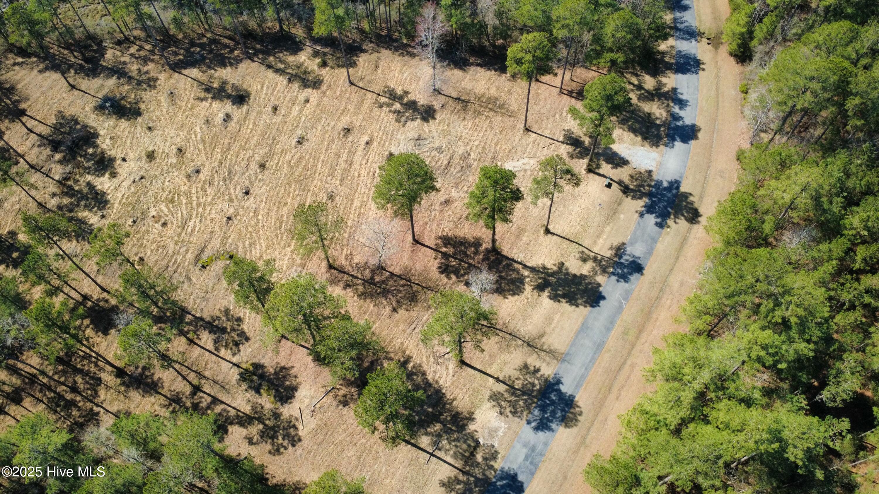 1261 Bailey Pointe Dr Drive Property Photo 3