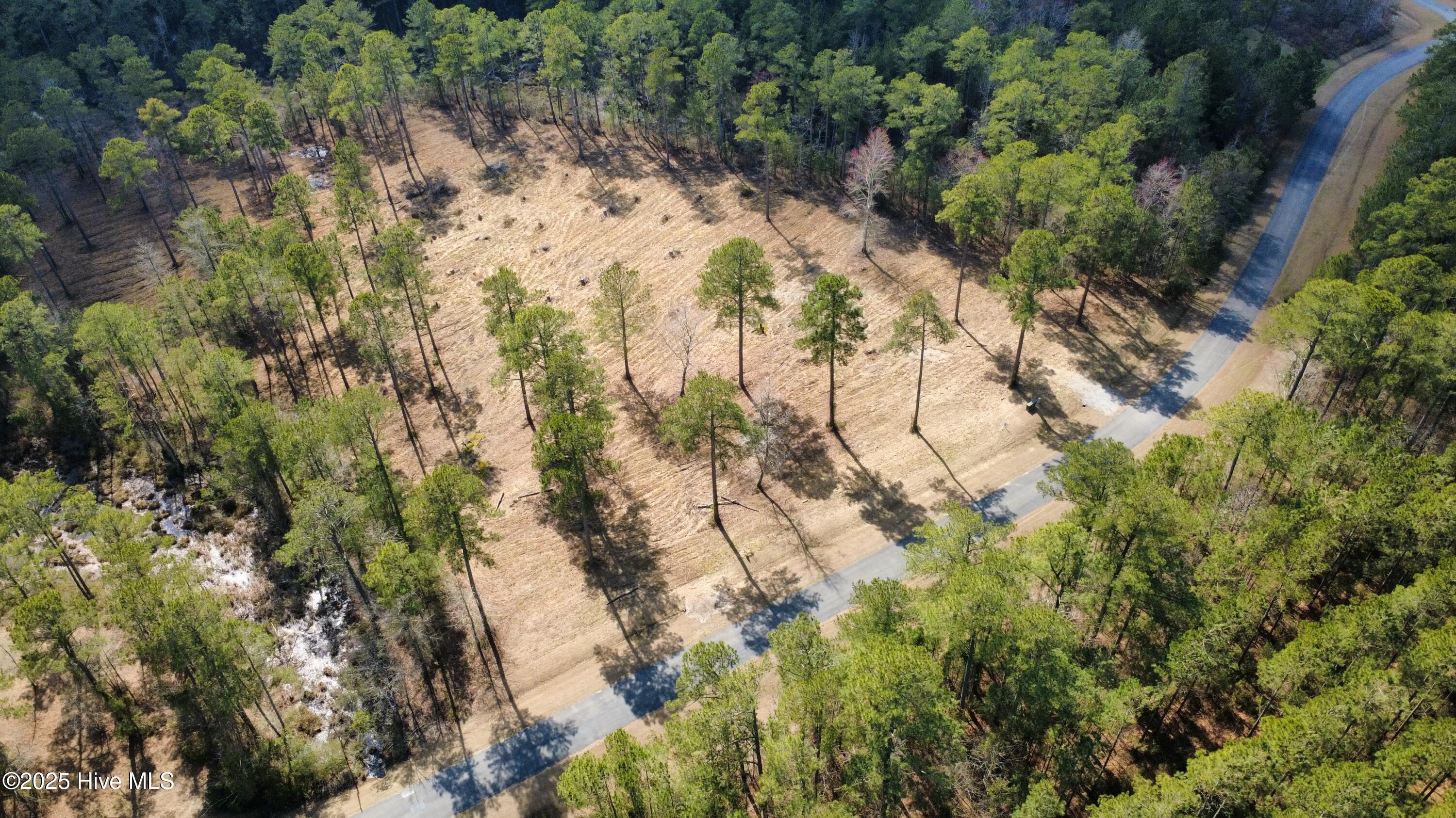 1261 Bailey Pointe Dr Drive Property Photo 4