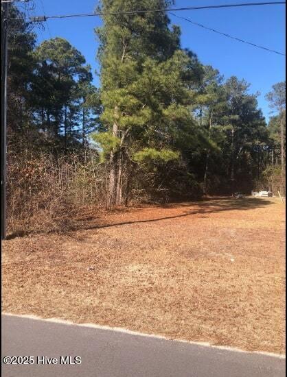 0 Sterling Street Property Photo 18