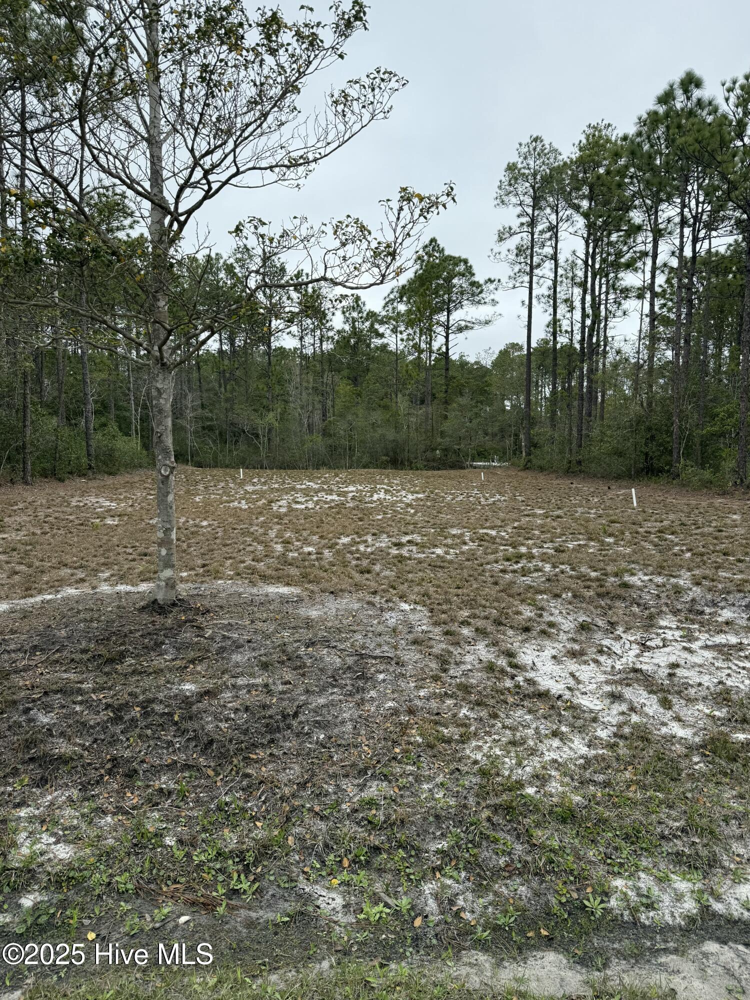 Lot 153 Sunset Road Property Photo 2