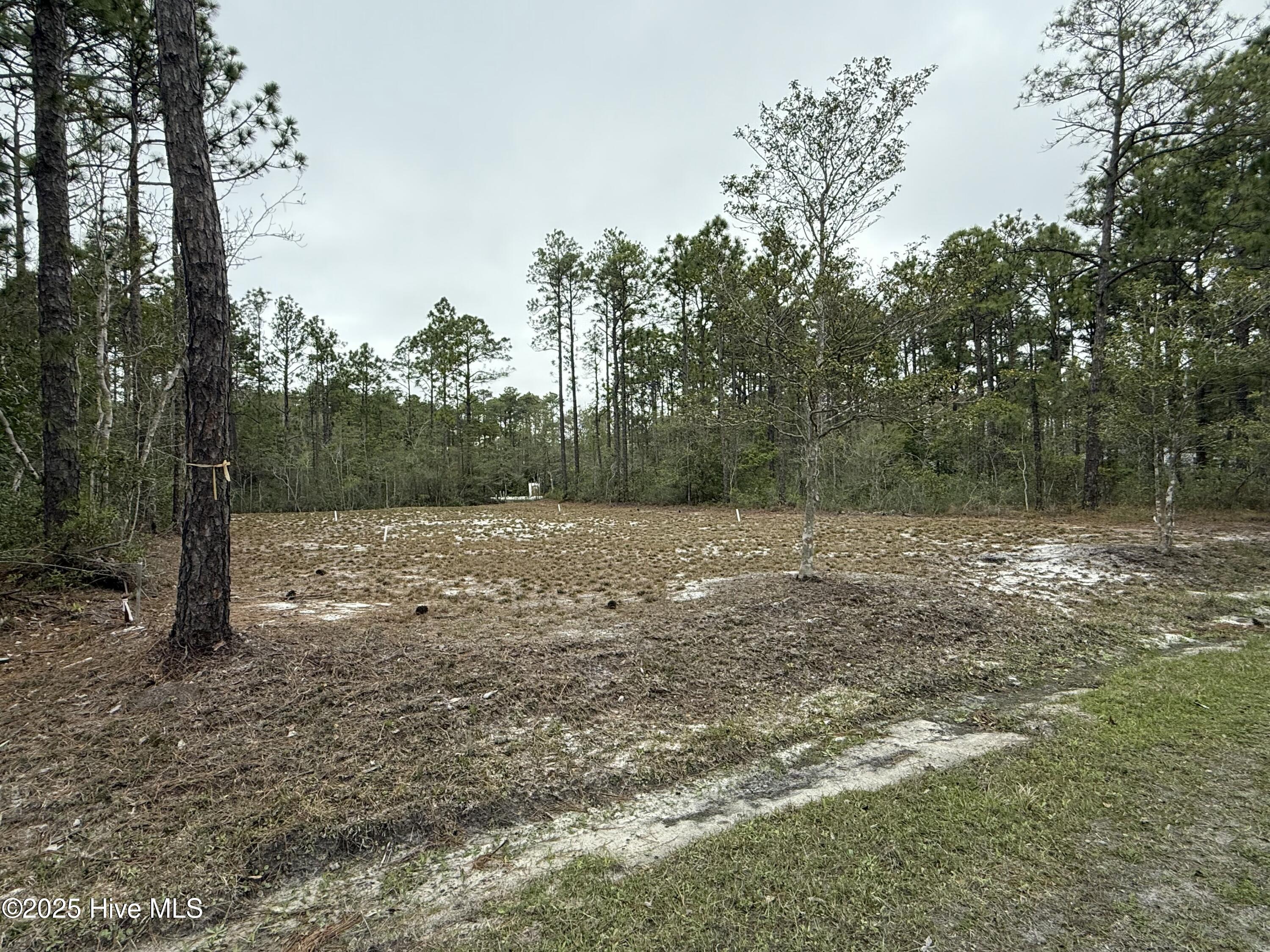 Lot 153 Sunset Road Property Photo 3