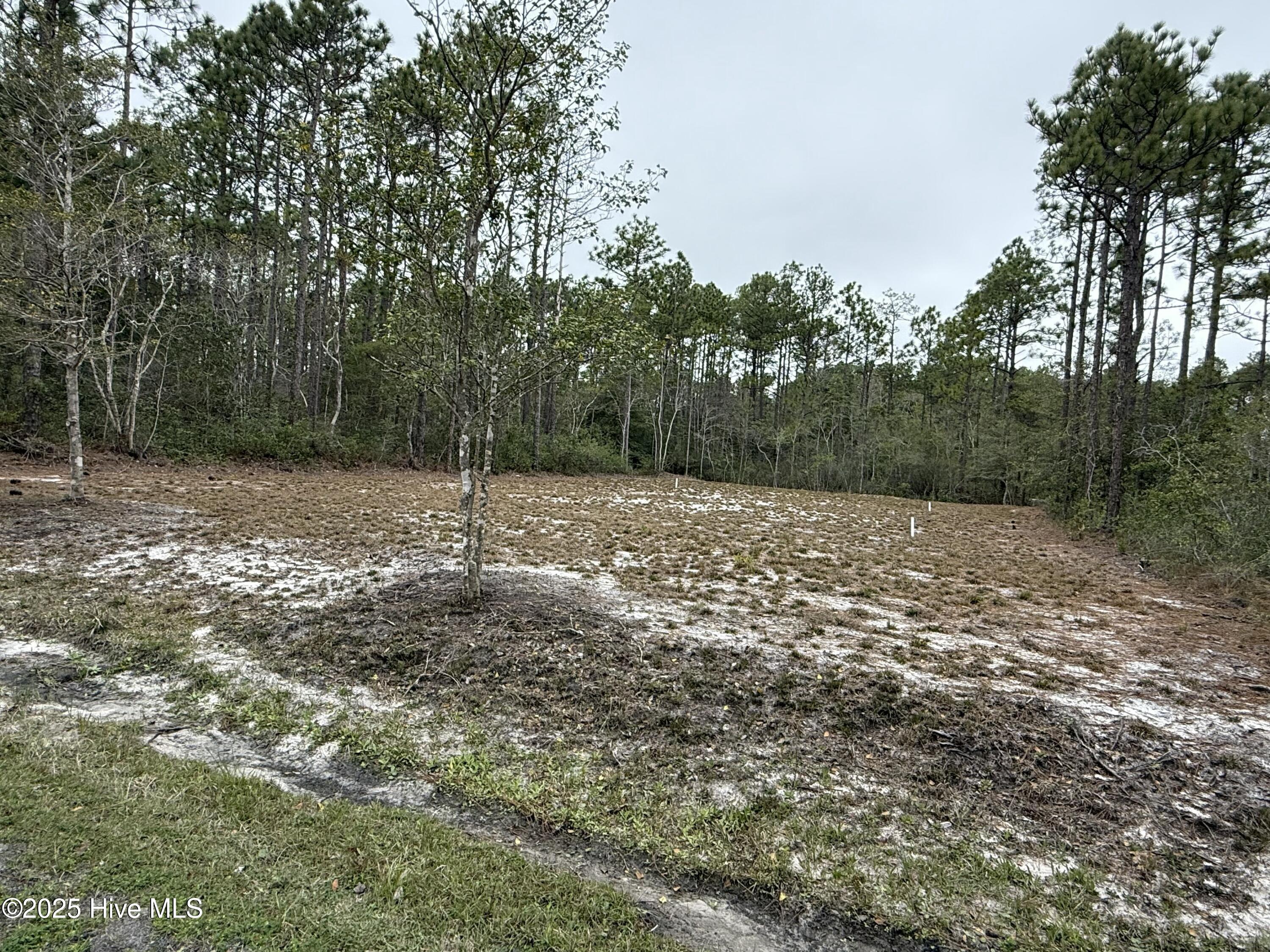 Lot 153 Sunset Road Property Photo 4