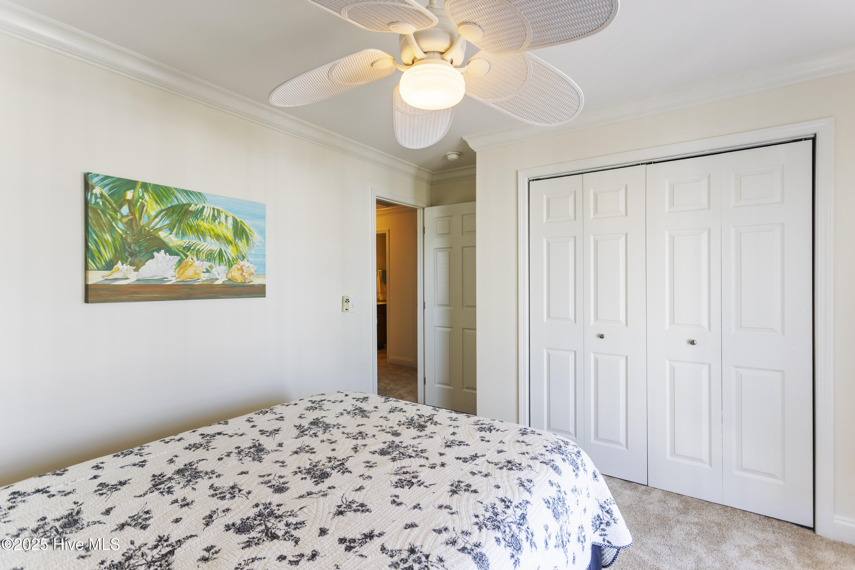 119 By The Sea Drive Property Photo 43