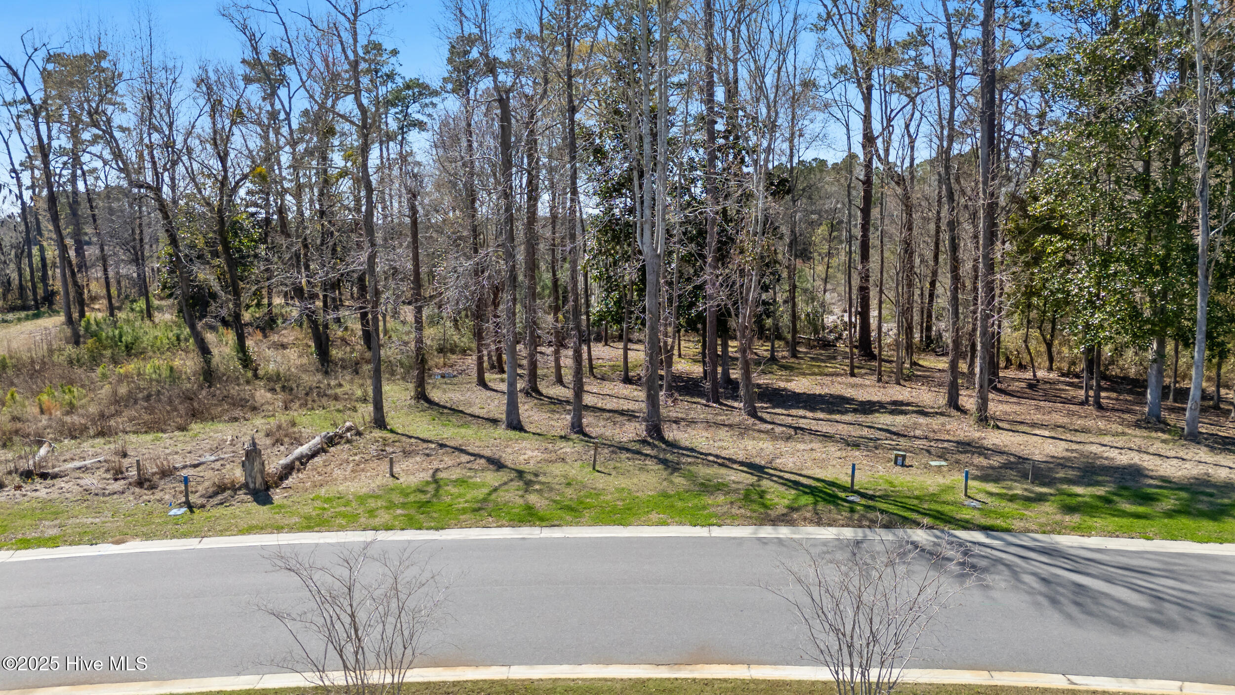 228 Preservation Point Avenue Property Photo 4