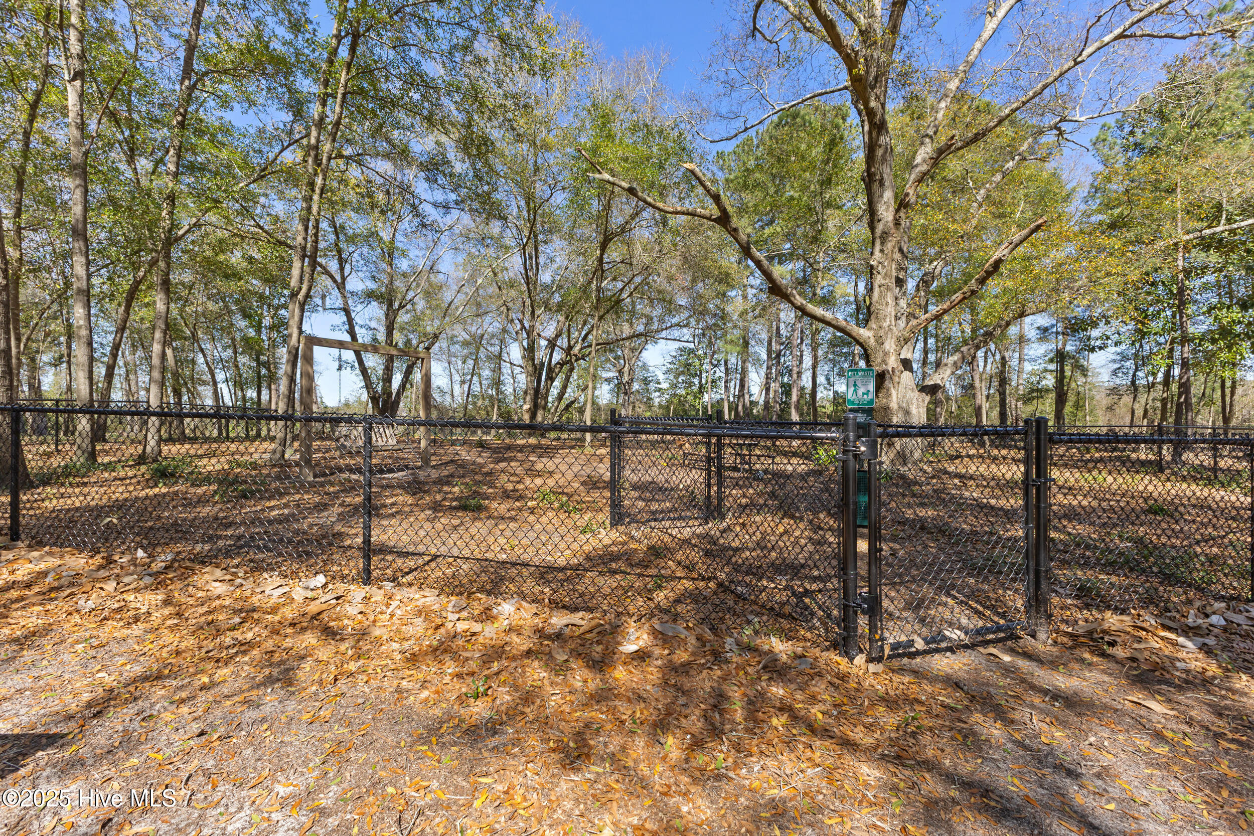228 Preservation Point Avenue Property Photo 34