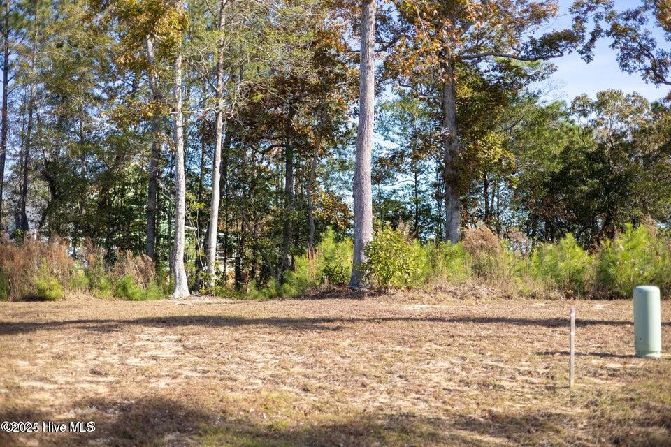 149 Starkey Creek Drive Property Photo 4