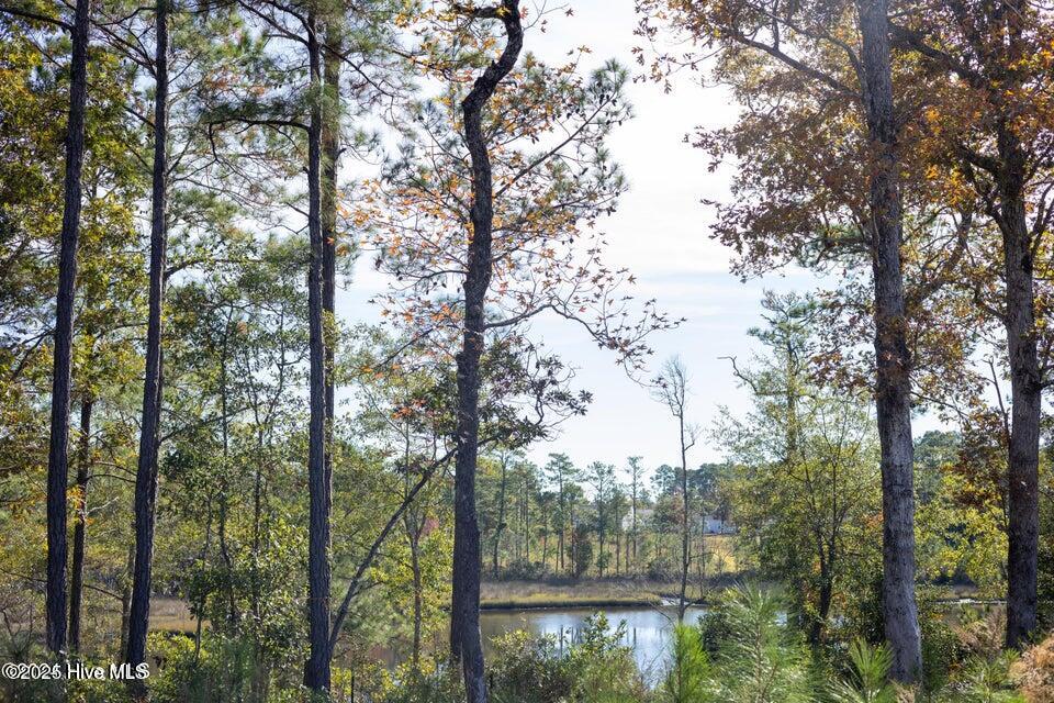 149 Starkey Creek Drive Property Photo 8
