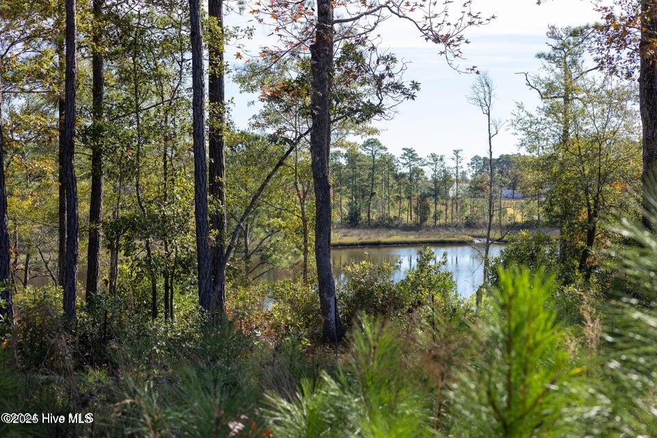 149 Starkey Creek Drive Property Photo 9