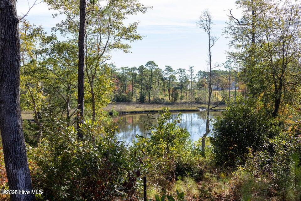 149 Starkey Creek Drive Property Photo 10