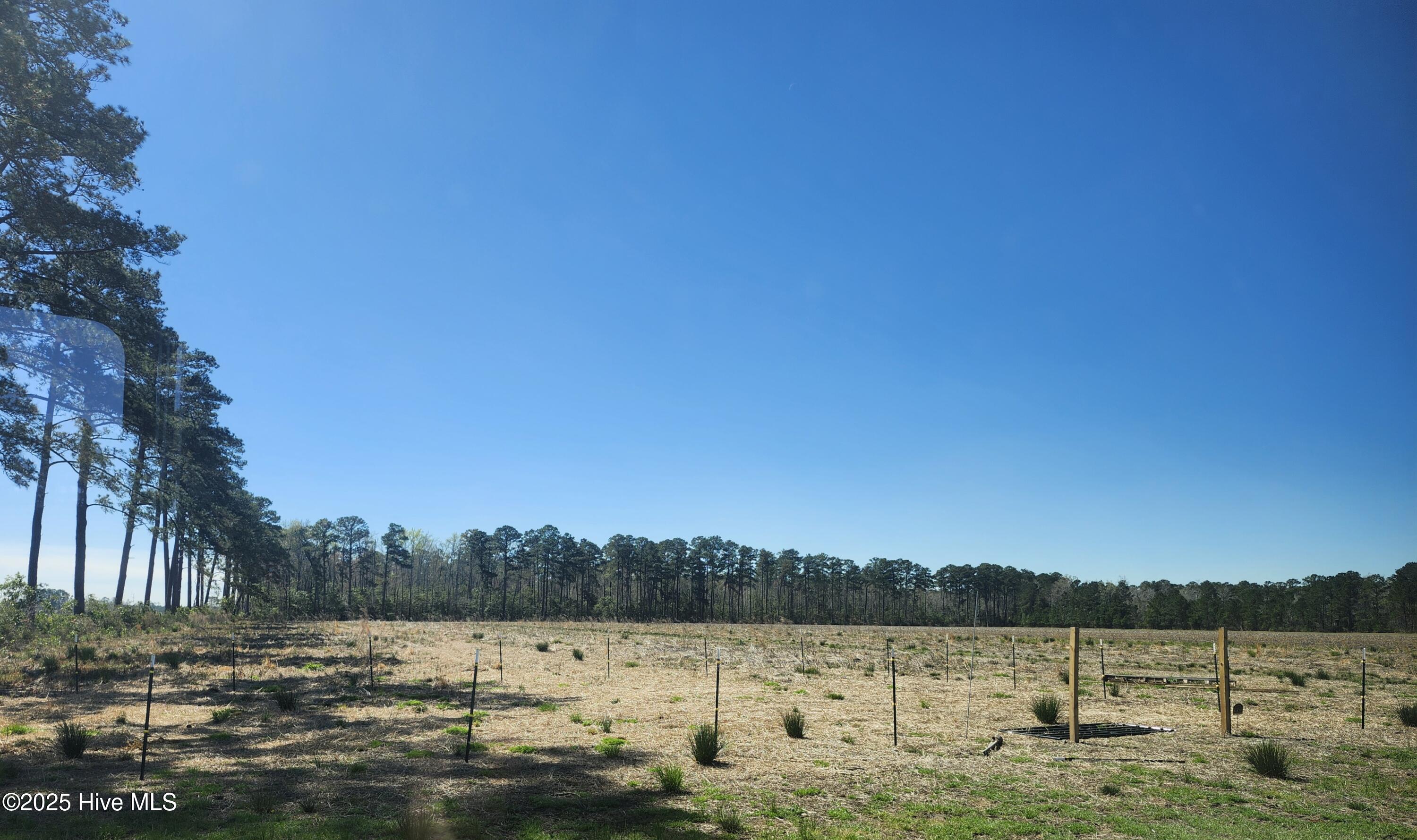 901 Murphy Farm Road Property Photo 10