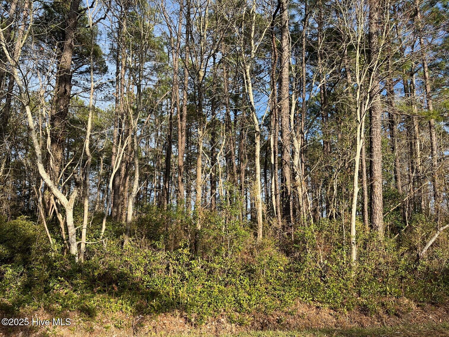 5408 Prosperity Lane Property Photo 2