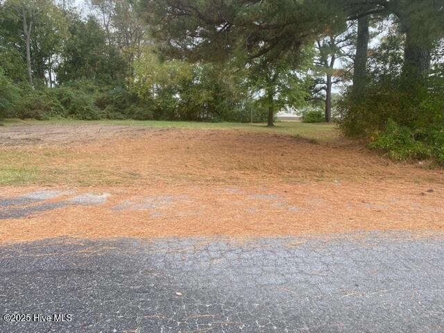 413 Pecan Street Property Photo