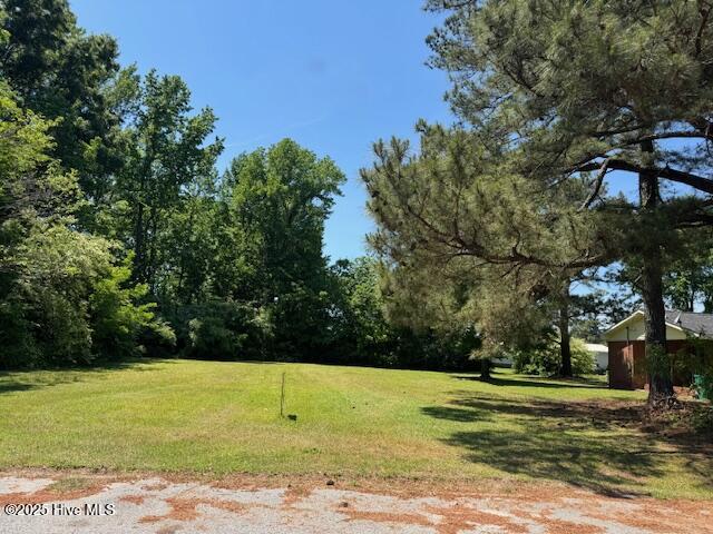 413 Pecan Street Property Photo 1